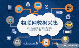 綠度 引領(lǐng)物聯(lián)網(wǎng)與信息服務(wù)創(chuàng)新的軟件開發(fā)品牌